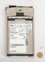 146GB-FC-10K-DSCN6565.JPG  (261.1 Kb)