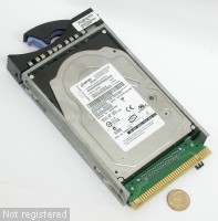146GB-FRU-80P6426-IBM-DSCN6211.JPG  (283.9 Kb)