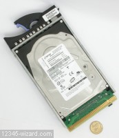 146GB-FRU-80P6426-IBM-DSCN6214.JPG  (285.0 Kb)