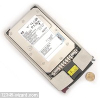 36GB-ULTRA320-15k-DSCN6572.JPG  (258.7 Kb)