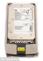 36GB-ULTRA320-15k-DSCN6575.JPG  (363.0 Kb)