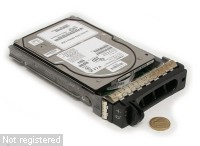 72GB-10k-U320-Dell-DSCN5042.JPG  (145.9 Kb)