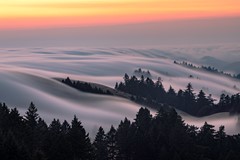 Fog Wave Over Mt Tamalpias