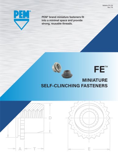 FE
