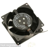 DSCN6837.JPG  (226.2 Kb)