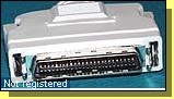 11-hpcn50_male.jpg  (4889 bytes)