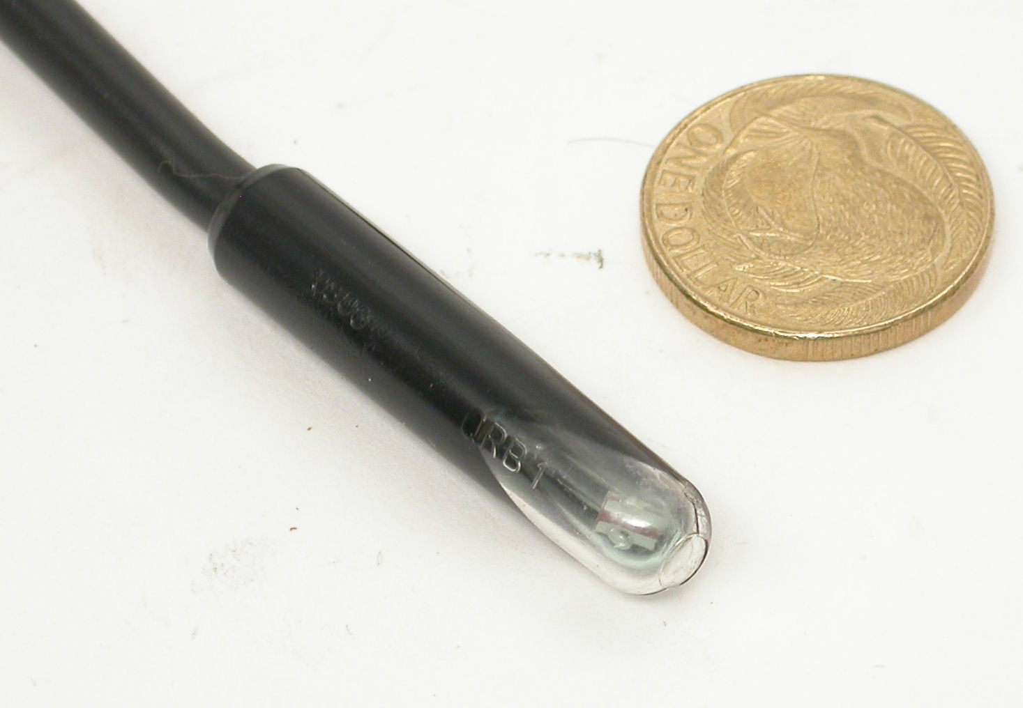 DSCN0459.JPG  (122.5 Kb)