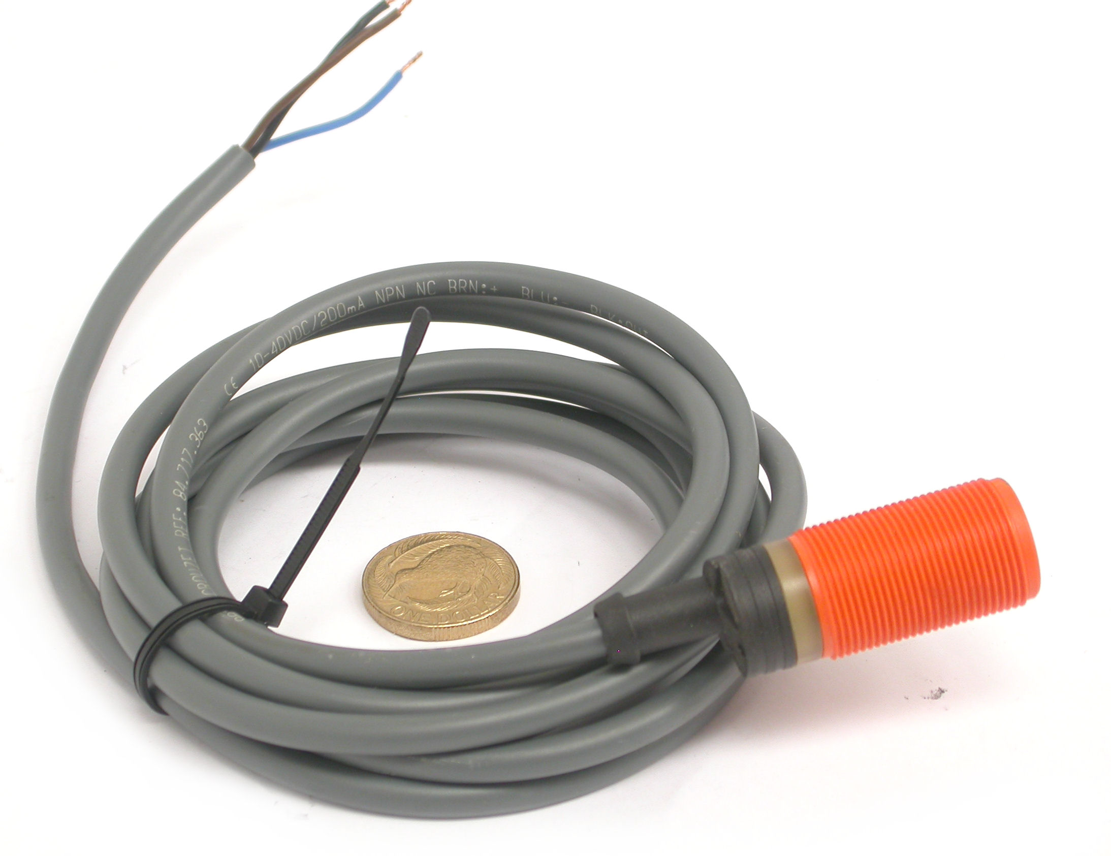 DSCN3063.JPG  (273.2 Kb)