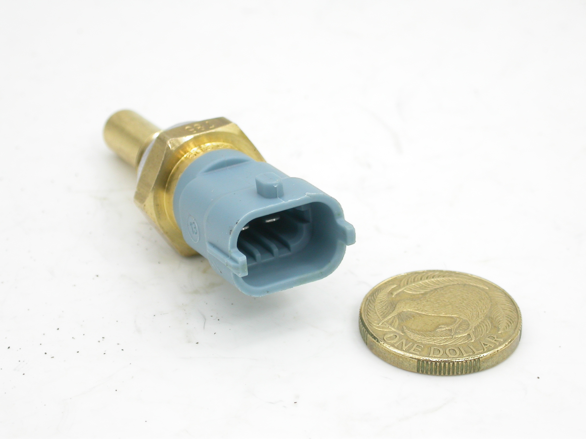 DSCN5485.JPG  (466.0 Kb)