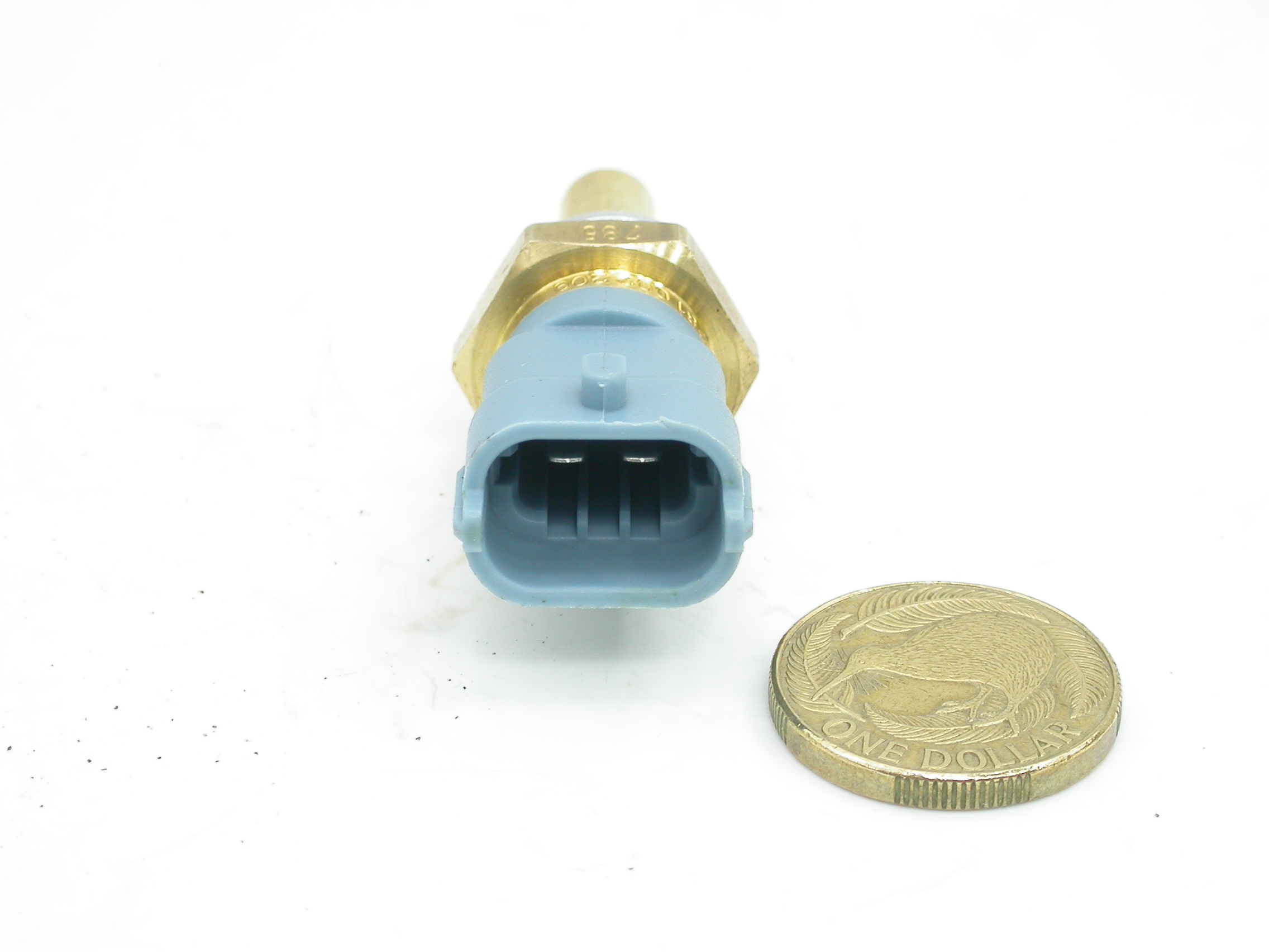 DSCN5486.JPG  (347.6 Kb)