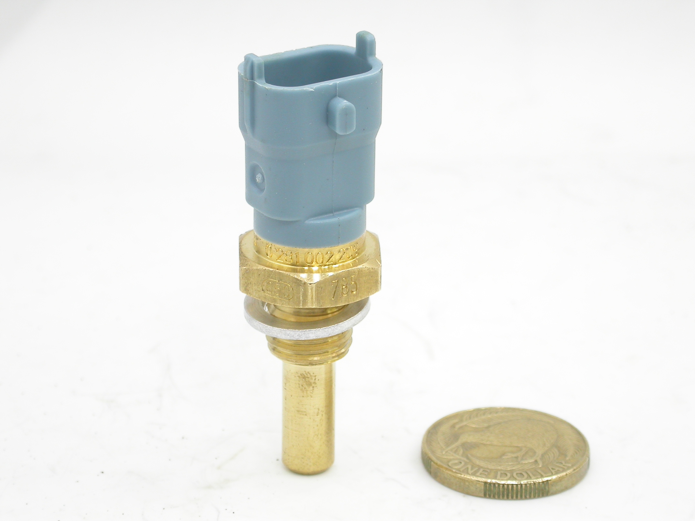 DSCN5487.JPG  (497.5 Kb)