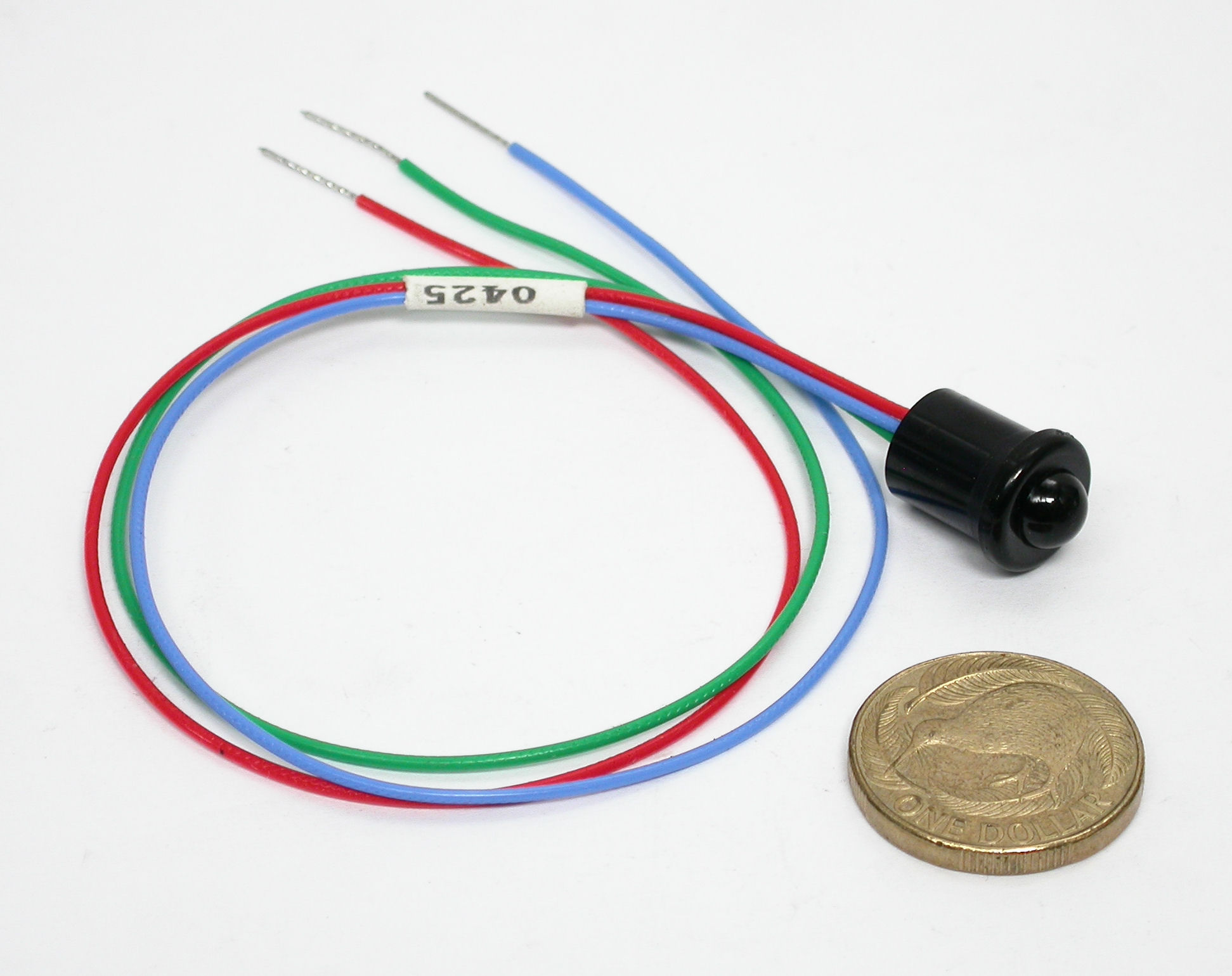 DSCN6227.JPG  (239.0 Kb)