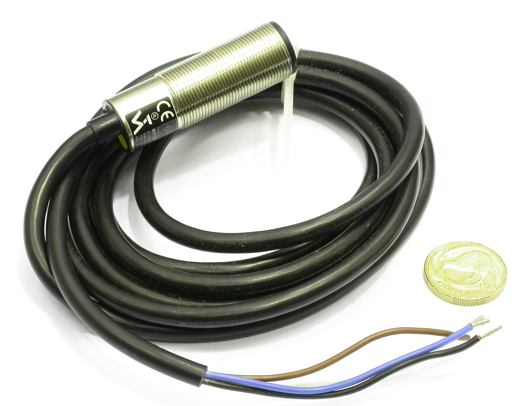 DSCN9291.JPG  (355.8 Kb)