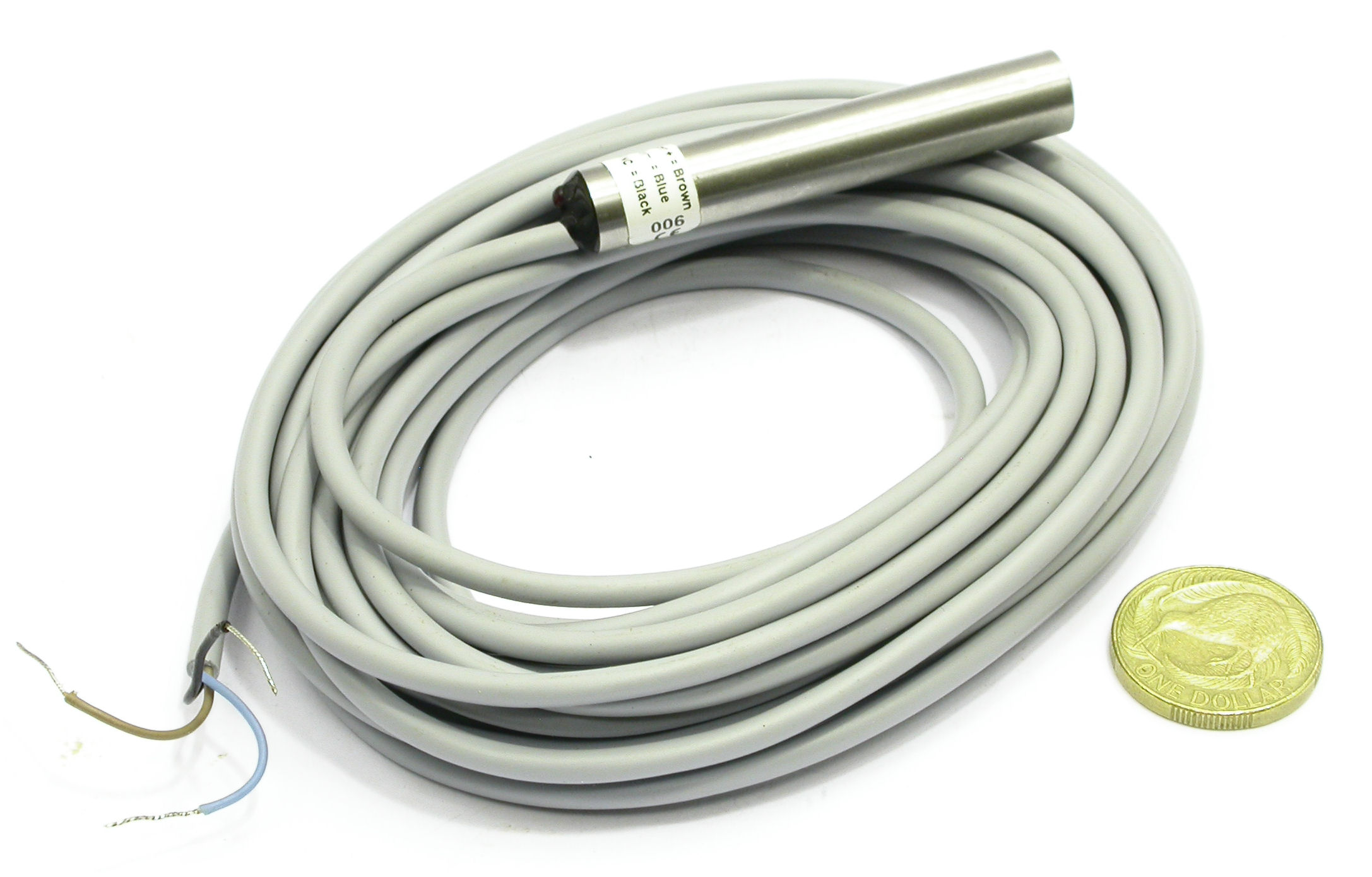 DSCN9293.JPG  (265.5 Kb)