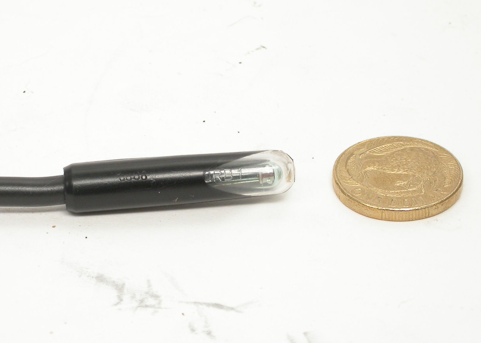 ORB1-LandisGyr_DSCN0458.JPG  (117.7 Kb)