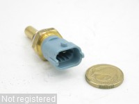 DSCN5485.JPG  (466.0 Kb)