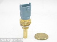 DSCN5487.JPG  (497.5 Kb)