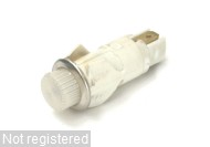 230V-Neon-Clear_001.jpg  (59.5 Kb)