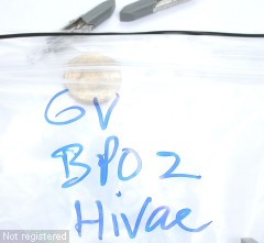6V-BPO2-Hivac_Bag.JPG  (201.4 Kb)