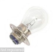 GE1361X_DSCN6744.JPG  (64.0 Kb)