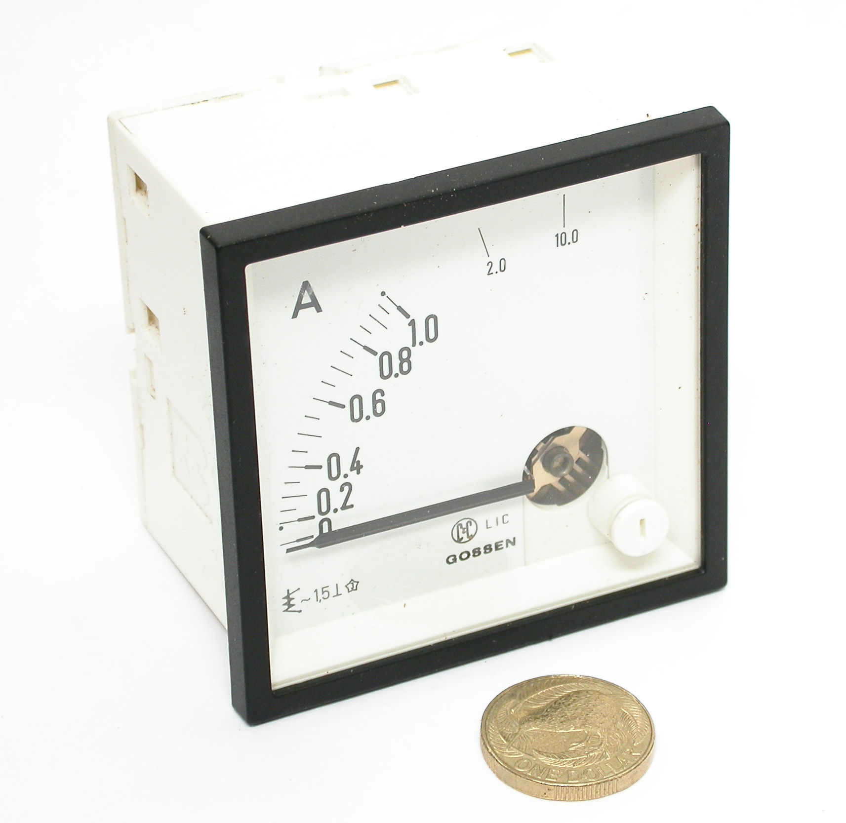 1~10A-Gossen_DSCN6785.JPG  (199.8 Kb)