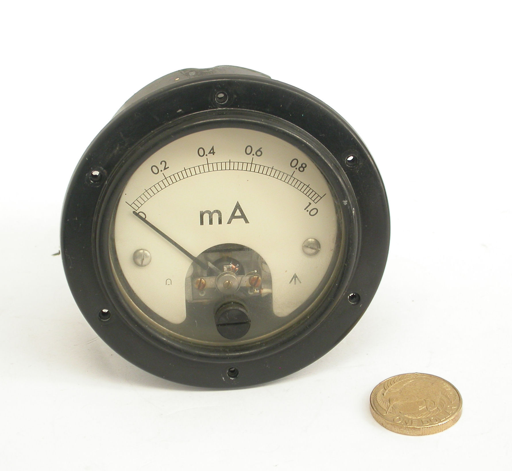 1mA_DSCN3409.JPG  (228.0 Kb)