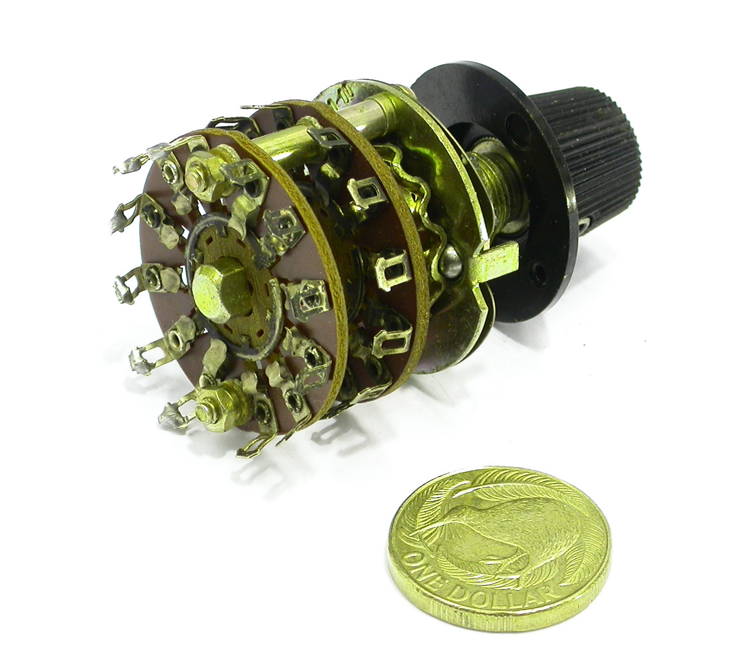 DSCN1460.JPG  (236.7 Kb)