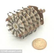 4p-2p-5b-04.jpg  (285.7 Kb)