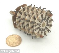 4p-2p-5b-05.jpg  (265.0 Kb)