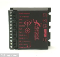 Gecko 002.jpg  (97.6 Kb)