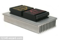 Gecko-X2-HS4159-07.jpg  (161.0 Kb)