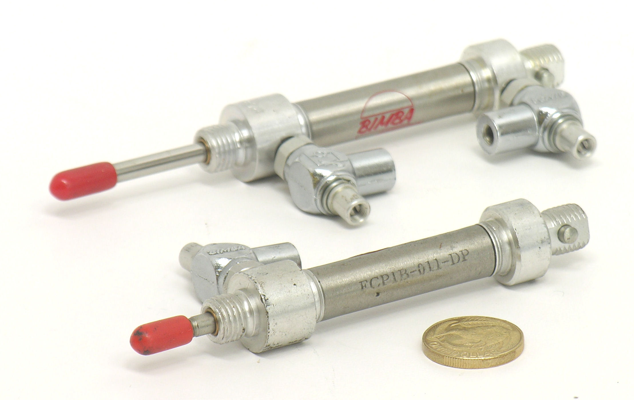 FCPIB-011-DP-Bimba-010.JPG  (244.4 Kb)