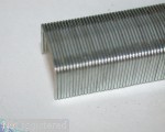 Staple-8x6 004.jpg  (189.4 Kb)