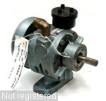 Gast-0440-P144-5.jpg  (114.7 Kb)
