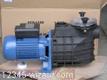 Pump-100507TA-Lot-138 015.jpg  (786.3 Kb)