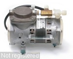 Thomas-107CCD14-6.jpg  (160.2 Kb)