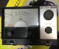 AG202A-Trio_3870.JPG  (578.5 Kb)