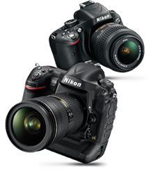 Digital SLR Cameras