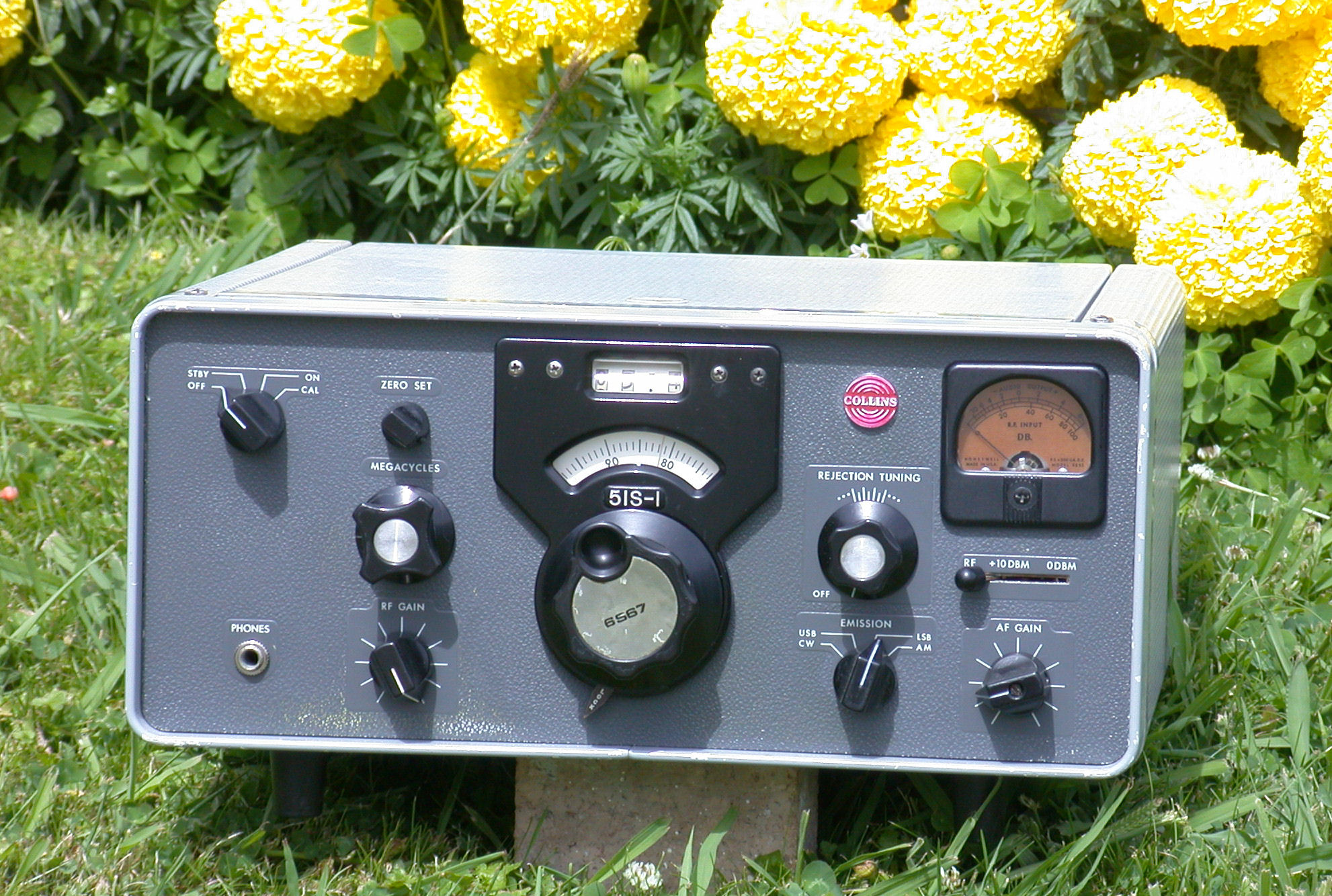 51S1-Collins_018.jpg  (682.1 Kb)