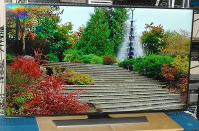 Samsung UN55HU8550 LED/LCD 4K UHD TV - Photo - Front View - Garden