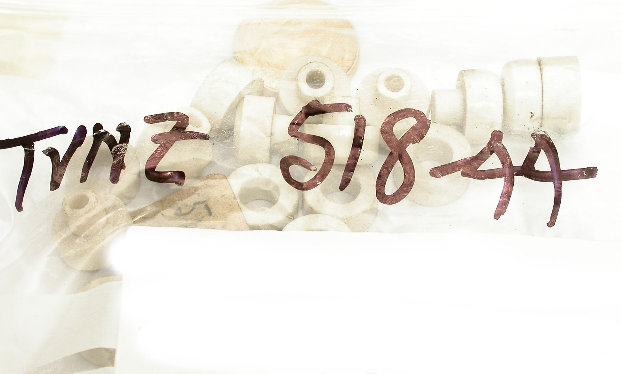 DSCN2955.JPG  (231.5 Kb)