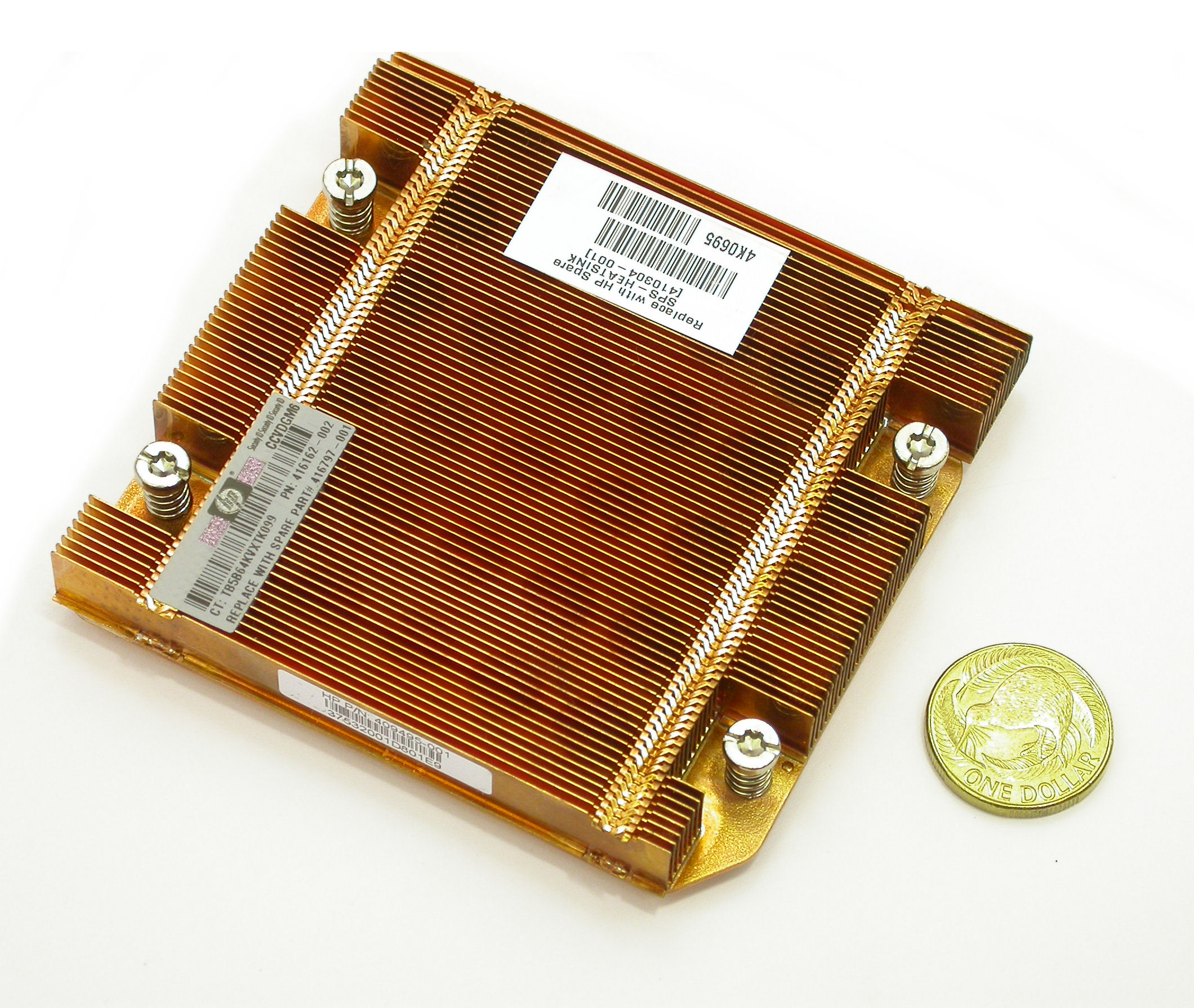 409495-001-HP_077.JPG  (808.7 Kb)