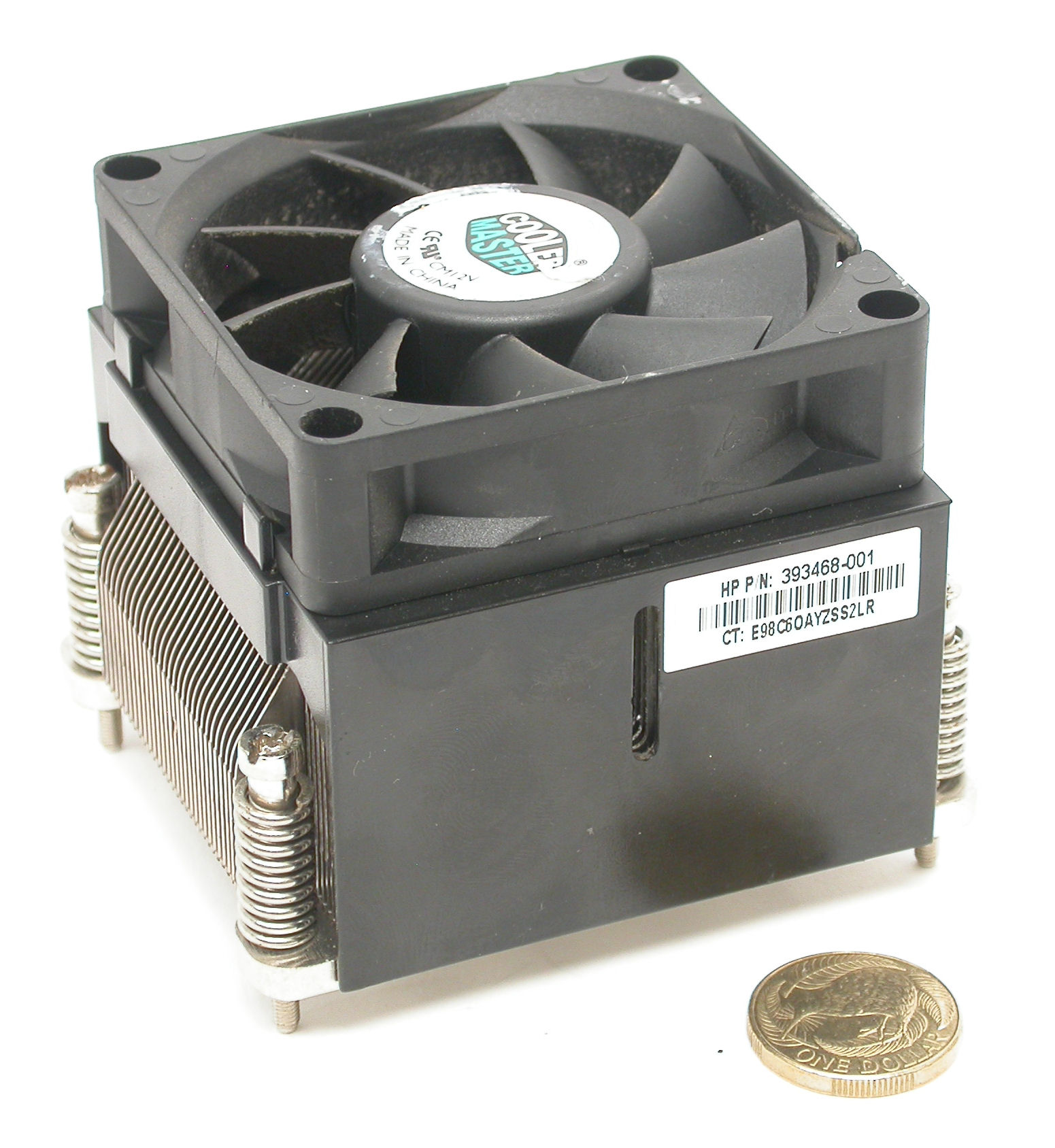 DSCN0255.JPG  (305.3 Kb)