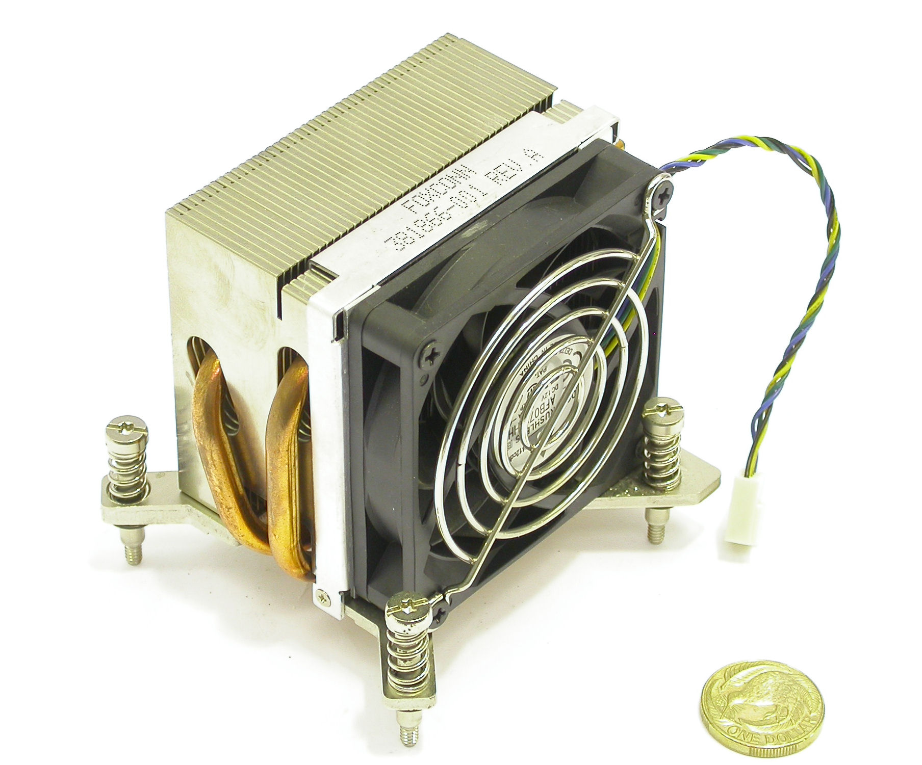 DSCN0258.JPG  (323.3 Kb)