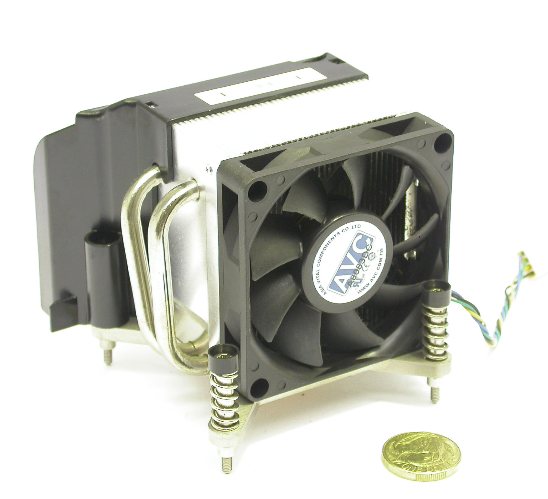 DSCN0265.JPG  (255.5 Kb)