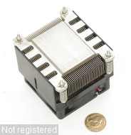 DSCN0252.JPG  (274.3 Kb)