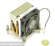 DSCN0258.JPG  (323.3 Kb)