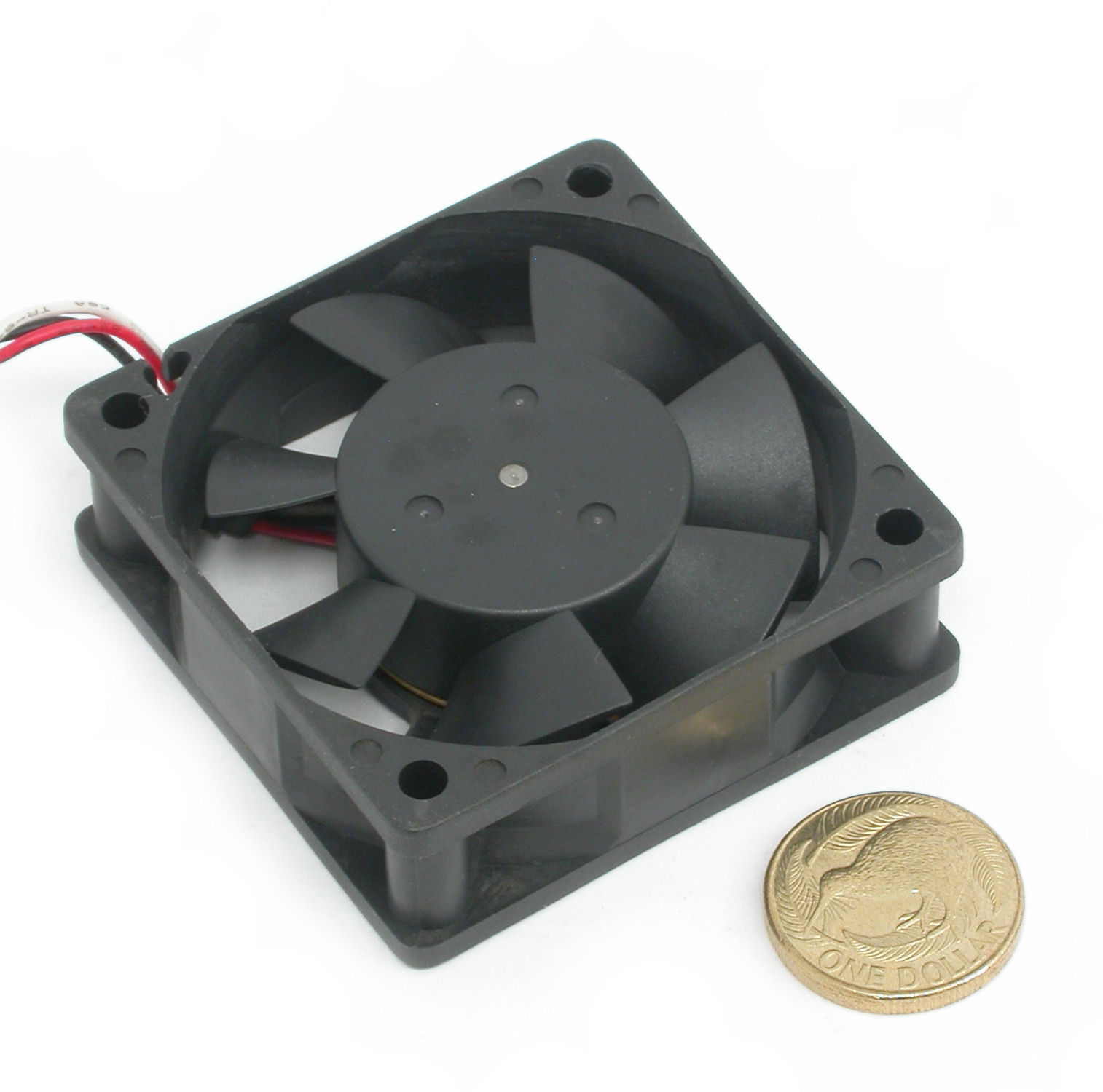 60x20-12Vdc-0A5-3L-0620-12HBTL-DSCN5744.JPG  (179.6 Kb)