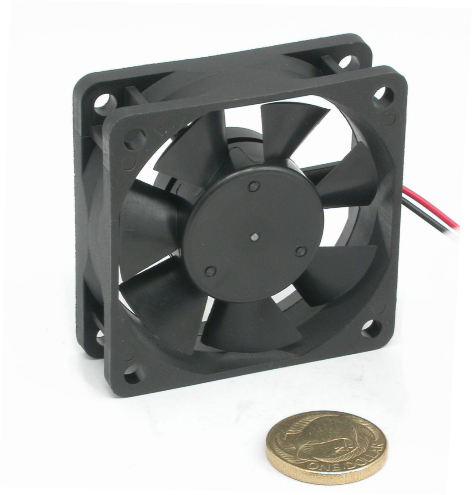 60x20-12Vdc-70mA-2L-AD0612-DSCN5733.JPG  (176.3 Kb)