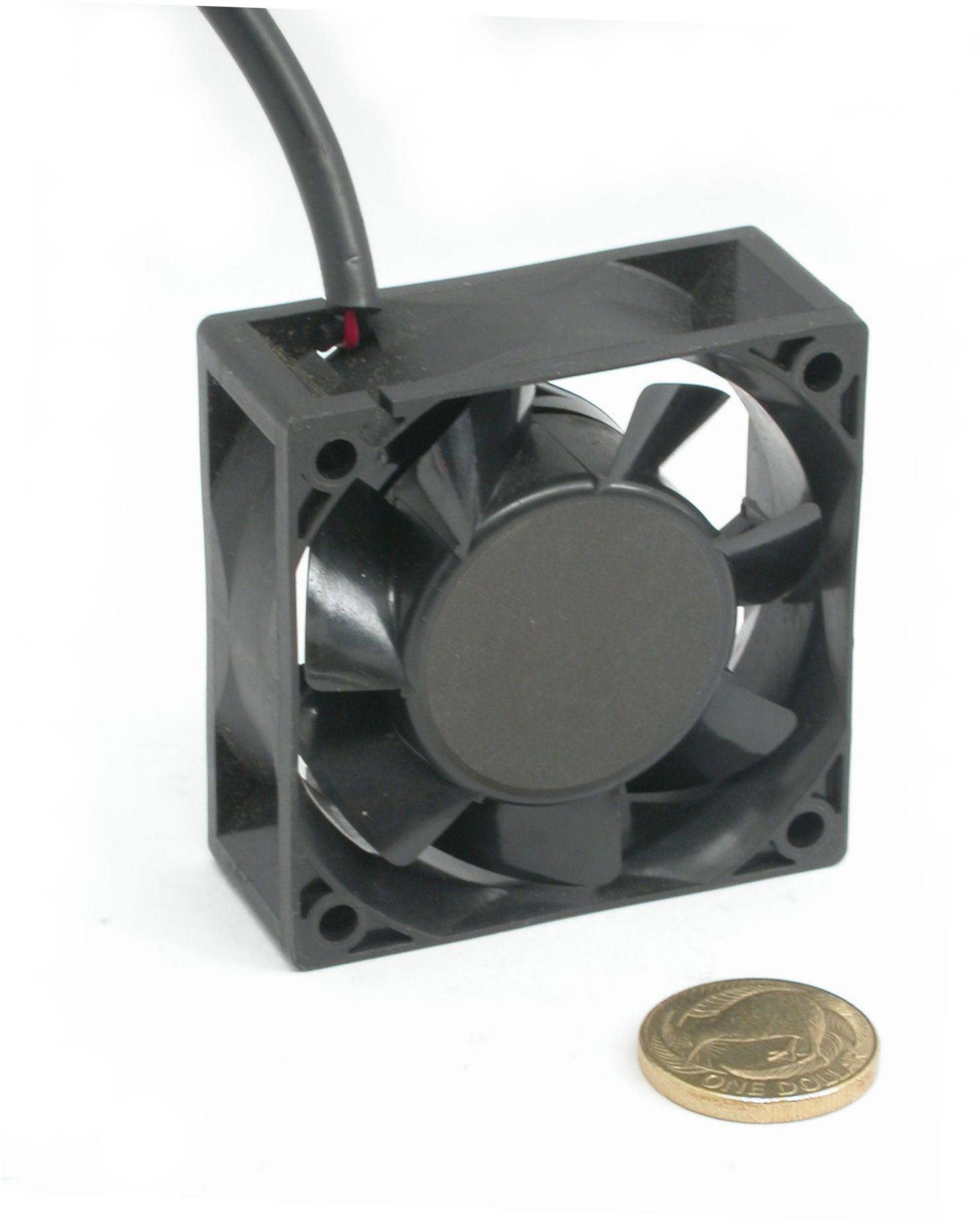 60x25-12Vdc-0A22-2L-MMF-DSCN5735.JPG  (180.2 Kb)